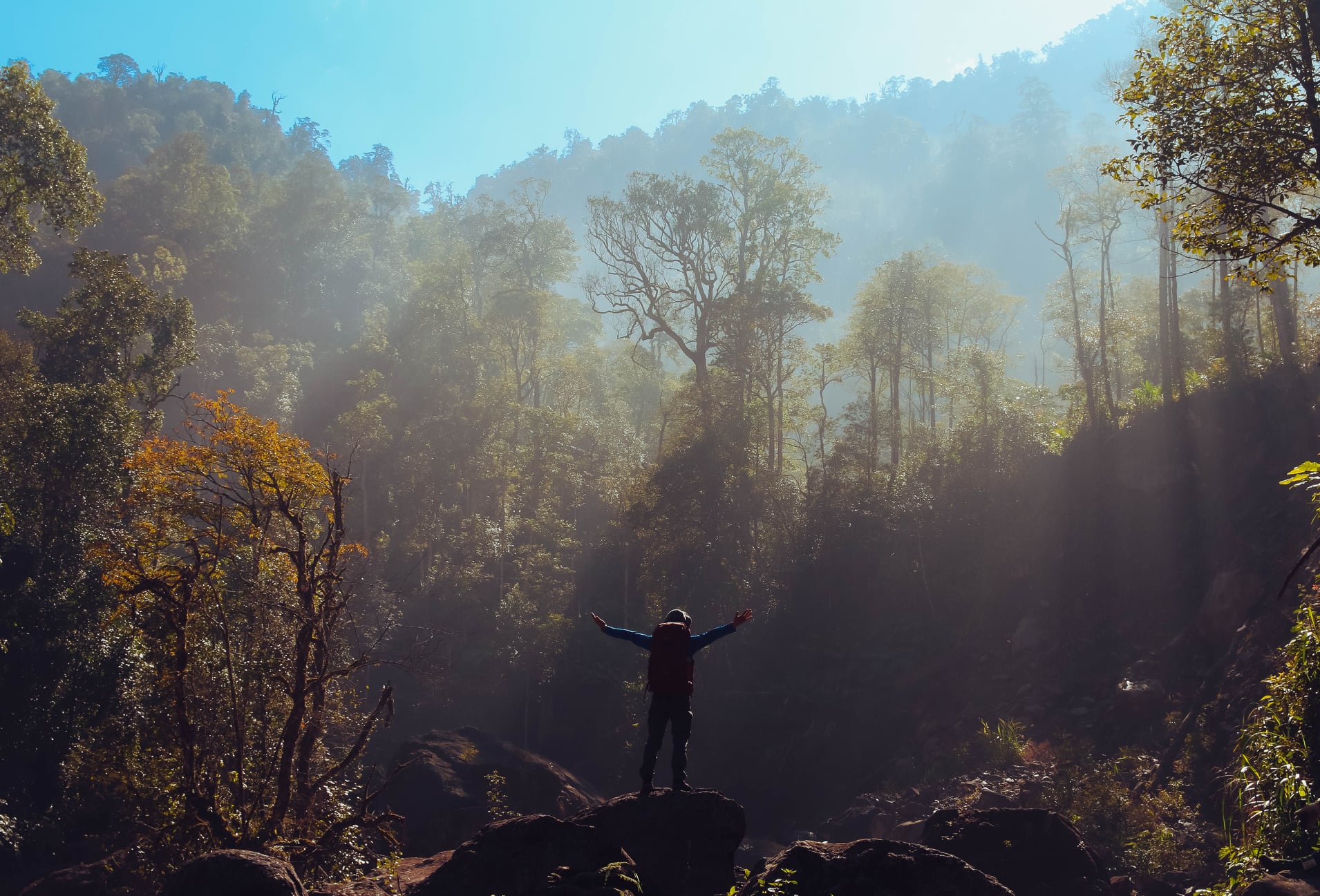 Mộng mơ Nam Kang Ho Tao