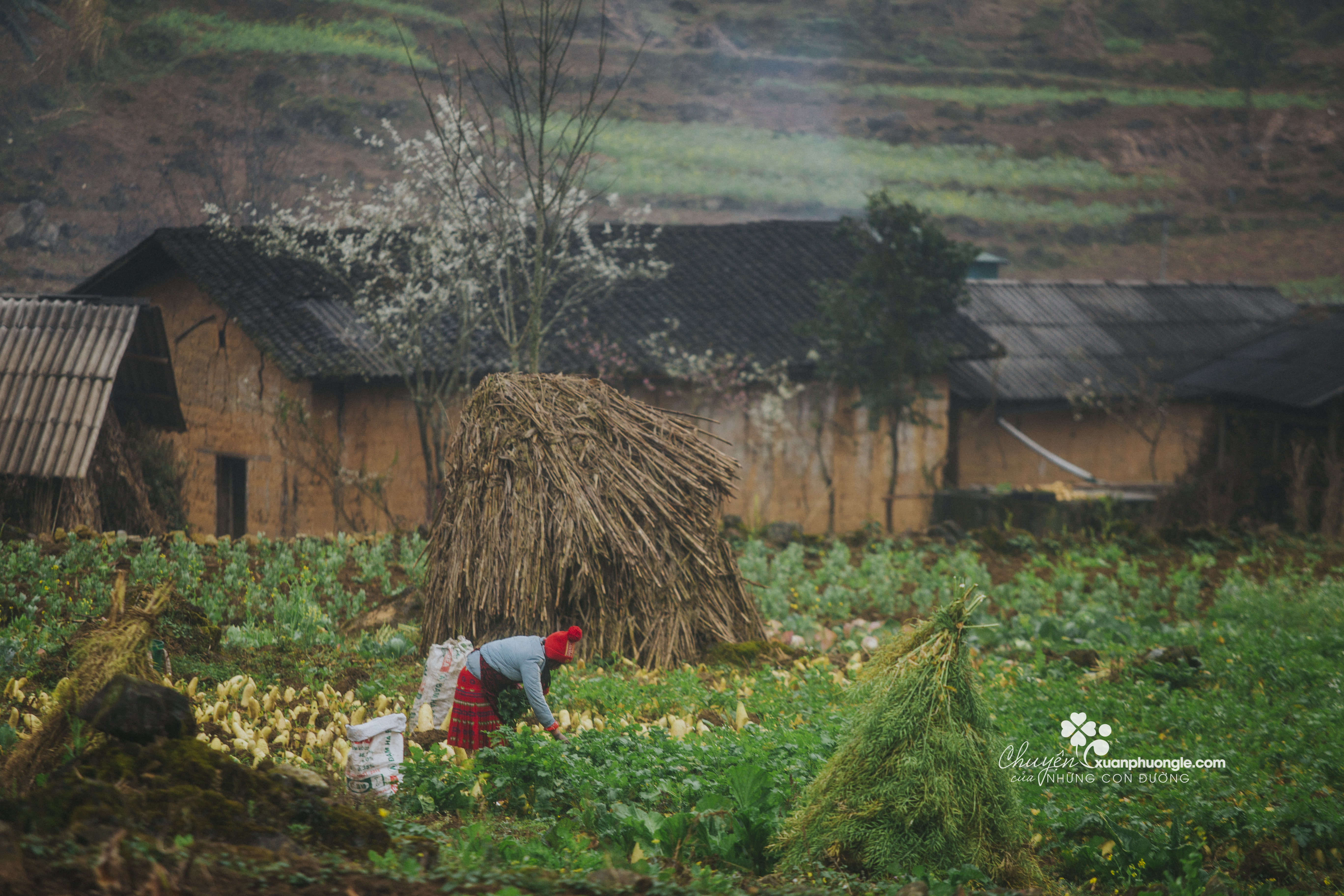 The best time of the year for photography tour in Vietnam