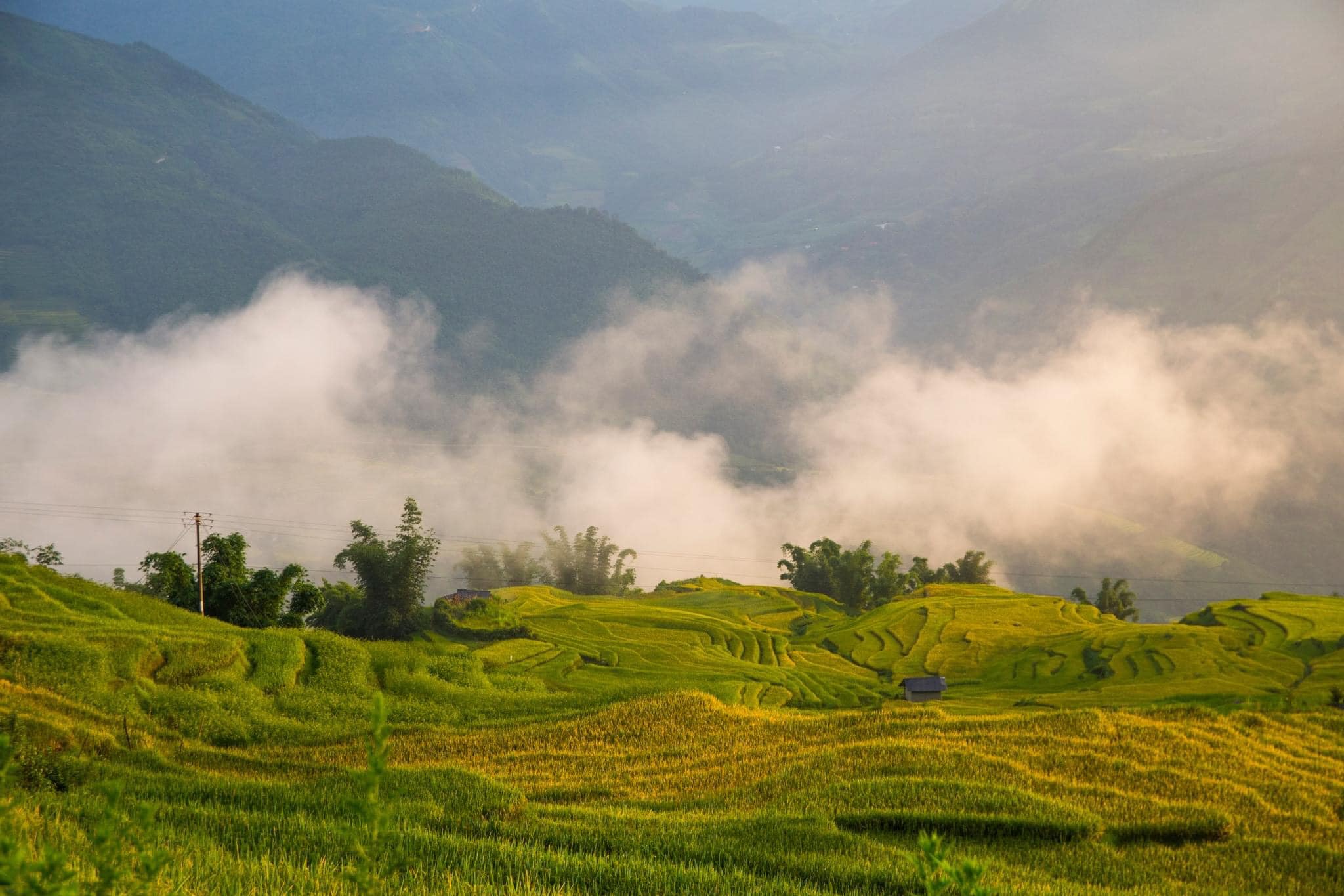 Vietnam Photography Guide to golden harvest season on rice terraces